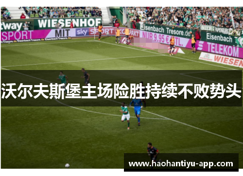 沃尔夫斯堡主场险胜持续不败势头