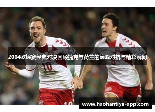 2004欧锦赛经典对决回顾捷克与荷兰的巅峰对抗与精彩瞬间